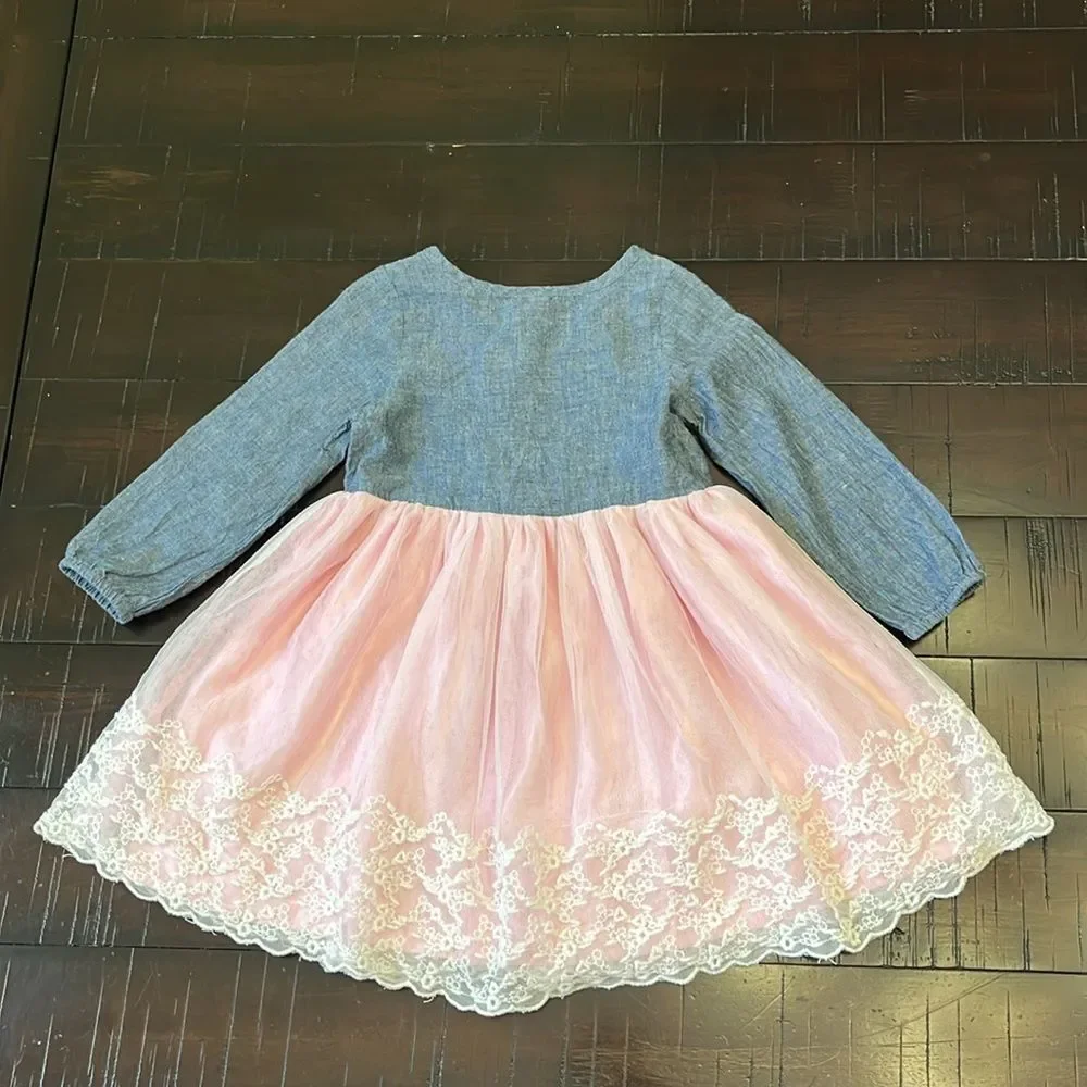 Carter's Baby girl 24mo dress bundle x2